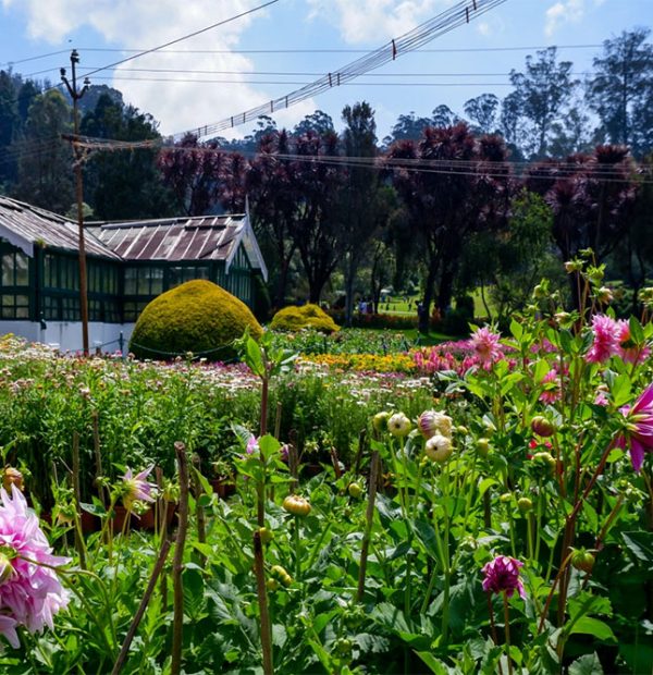 KA20 KARNATAKA 6N 7D 2N MYSORE 2N WAYNAD 2N OOTY